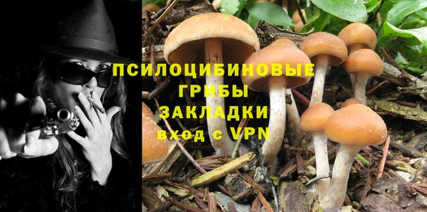 прущая мука Гусь-Хрустальный