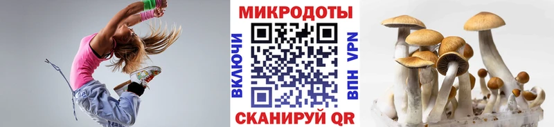как найти закладки  Чухлома  MEGA рабочий сайт  Галлюциногенные грибы Psilocybine cubensis 